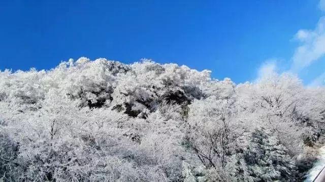 五道家庭必备的素菜，色香味俱全，真的太好吃了！